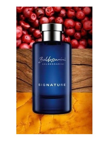 عطر مردانه بالدسارینی سیگنچر