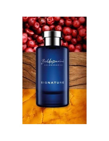 عطر مردانه بالدسارینی سیگنچر