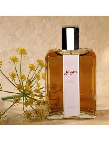 عطر مردانه کارون یاتاقان