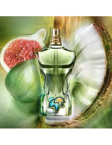 عطر مردانه ژان پل گوتیه له بو پارادایس گاردن