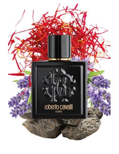 Roberto Cavalli Uomo - a classic woody floral fragrance