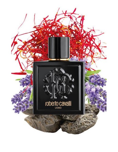 Roberto Cavalli Uomo - a classic woody floral fragrance