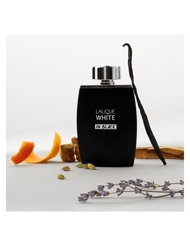 Lalique White in Black - a contrasting white and black wood fragrance