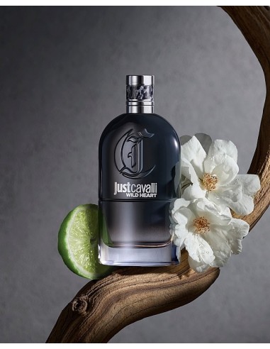 خرید ادکلن جاست کاوالی وایلد هارت مردانه | Just Cavalli Wild Heart