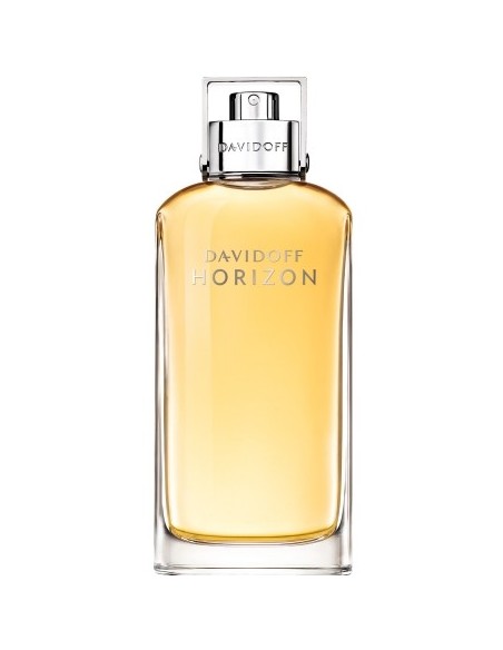 خرید ادکلن دیویدوف هوریزن مردانه | Davidoff Horizon