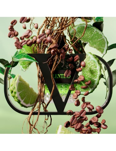 Valentino Uomo Born in Roma Green - an energetic green woody fragrance