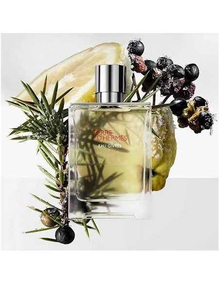 عطر مردانه تق د هرمس او گیوری