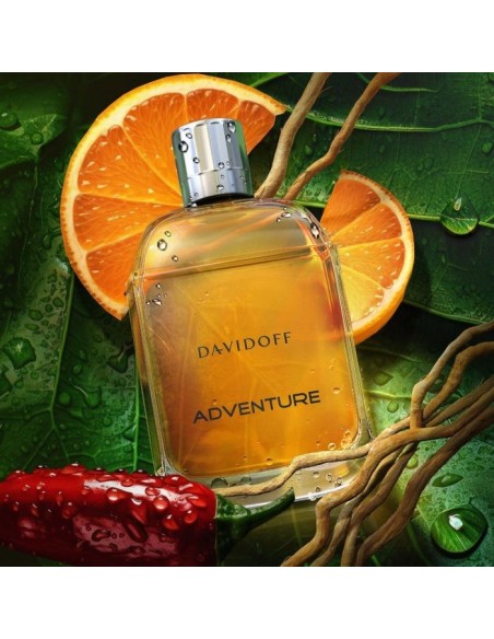 عطر مردانه دیویدف ادونچر