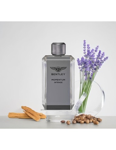 Bentley Momentum Intense Tester | Men's Fragrance