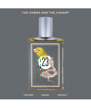 ایماجنری آتورز د کبرا اند د کاناری Imaginary Authors The Cobra and The Canary