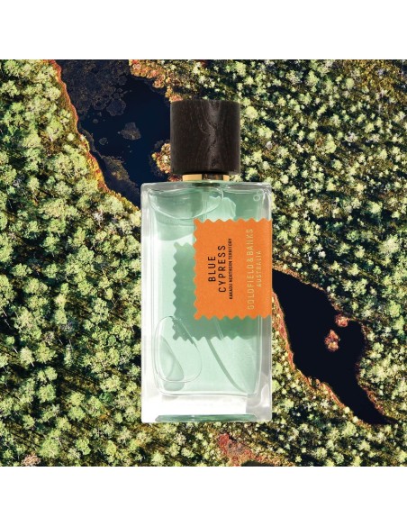عطر گلد فیلد اند بنکس بلو سایپرس