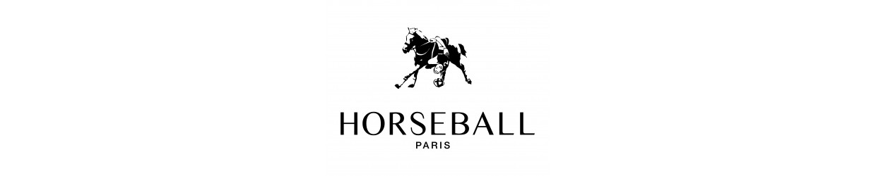 Horseball
