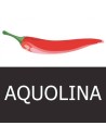 Aquolina
