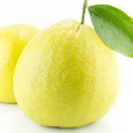 برگاموت