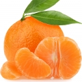 کلمانتین