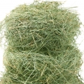یونجه