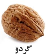 Walnut